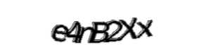 Security check image, please type the characters shown